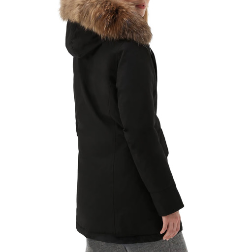 ARCTIC-RACCOON-538