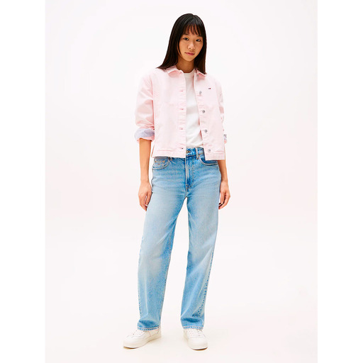 TOMMY HILFIGER DW0DW20643 - Jeans