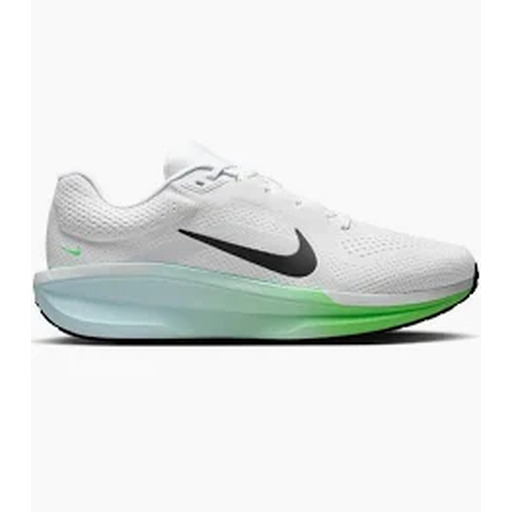 NIKE WINFLO 11