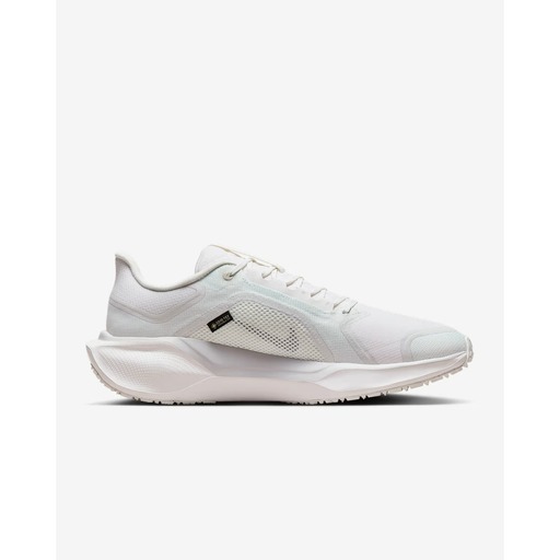 AIR ZM PEGASUS 41 GTX FQ1356-101