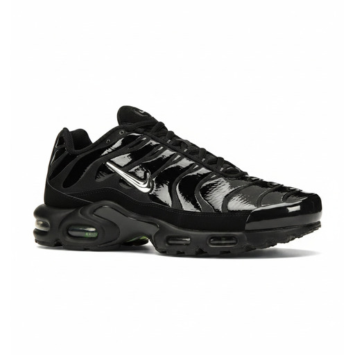 Nike Air Max Plus Black Chrome
