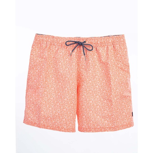 HACKETT Mini Shells - Bañador