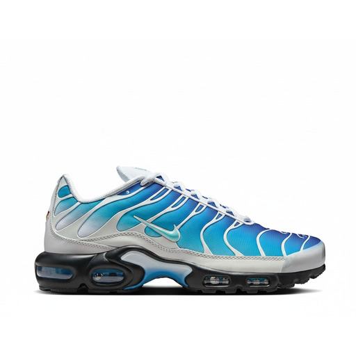 Nike Air Max Plus One Block Down Light Photo Blue