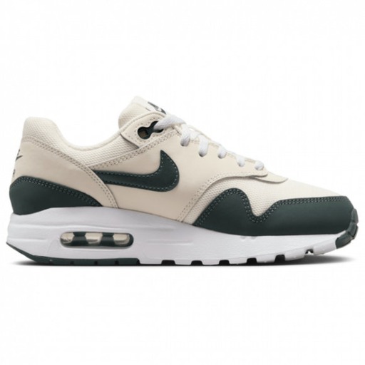 NIKE AIR MAX 1 BG DZ3307-113