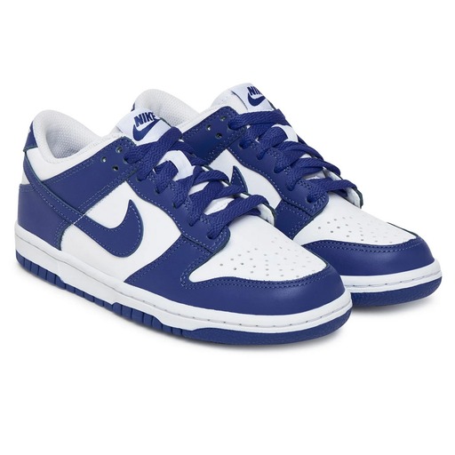 NIKE DUNK LOW (GS) FB9109-131