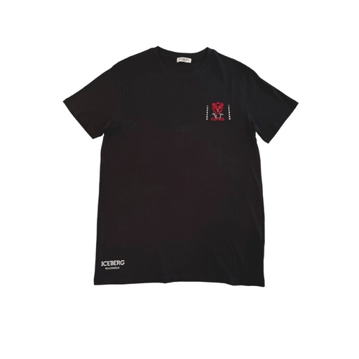 ICE25MTS02