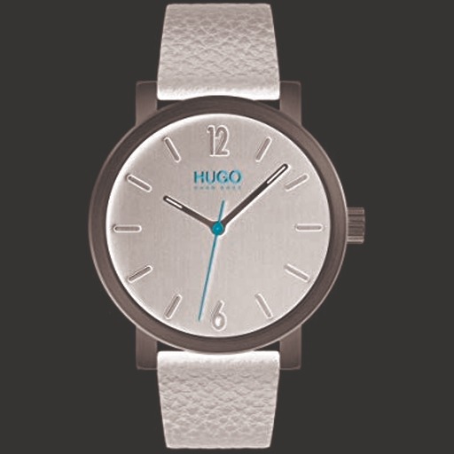 Hodinky HUGO BOSS model RASE 1530115