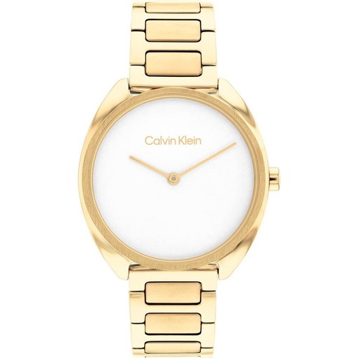 Hodinky CALVIN KLEIN model 25200276