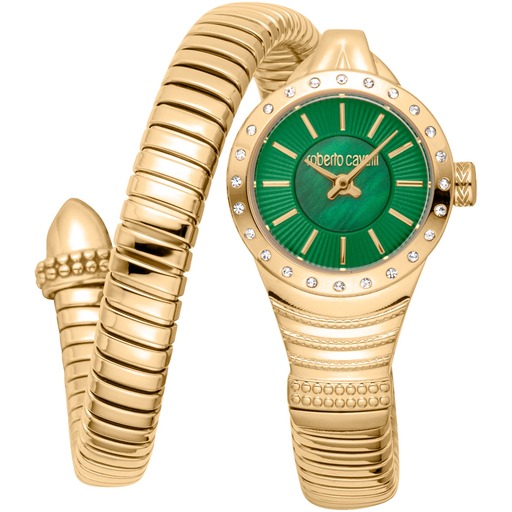 Hodinky Roberto Cavalli model Lady RC5L114M0035