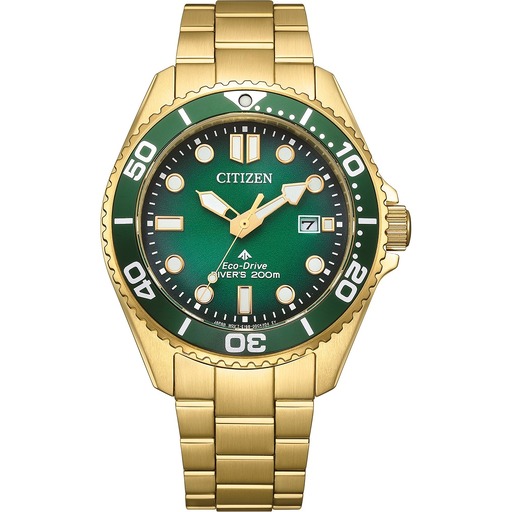 Hodinky Citizen BN0262-59W Promaster Eco-Drive Diver 40mm 20ATM
