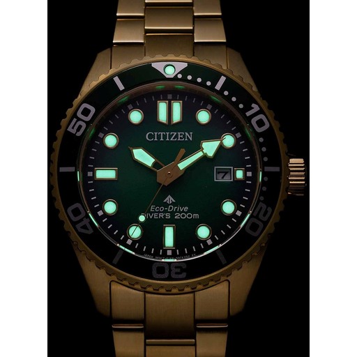 Hodinky Citizen BN0262-59W Promaster Eco-Drive Diver 40mm 20ATM