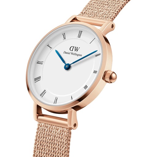 Hodinky Daniel Wellington DW00100681 Petite Roman 28mm 3ATM