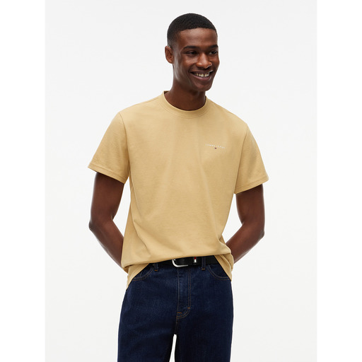 TOMMY HILFIGER DM0DM21780 - Camiseta
