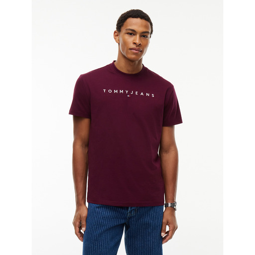 TOMMY HILFIGER DM0DM20744 - Camiseta